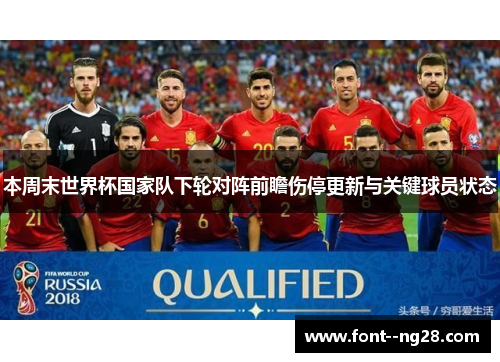 本周末世界杯国家队下轮对阵前瞻伤停更新与关键球员状态