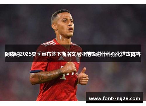 阿森纳2025夏季宣布签下斯洛文尼亚前锋谢什科强化进攻阵容 阿森纳2025夏季宣布签下斯洛文尼亚前锋谢什科强化进攻阵容